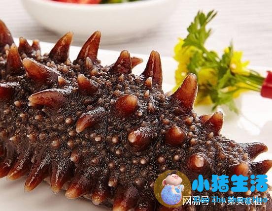 有服用海补乐宝怎么样