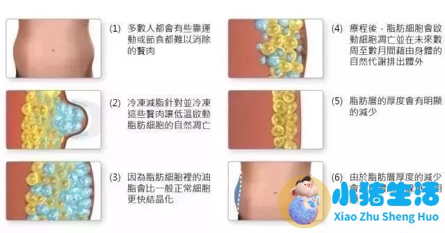 康熙来了 局部减肥