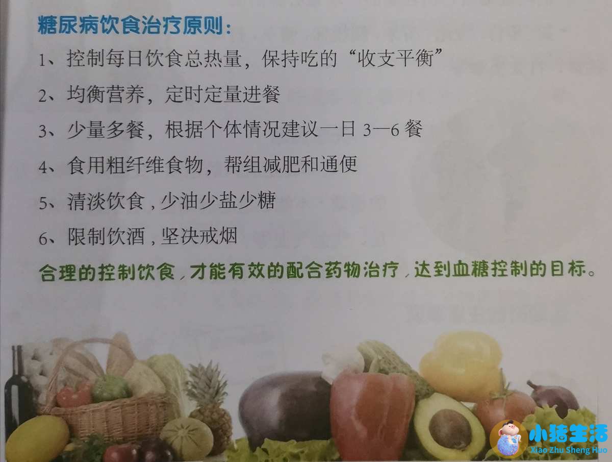 食品健康资讯
