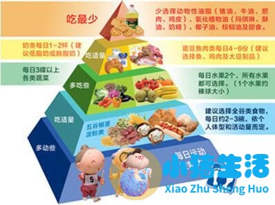 食品健康资讯