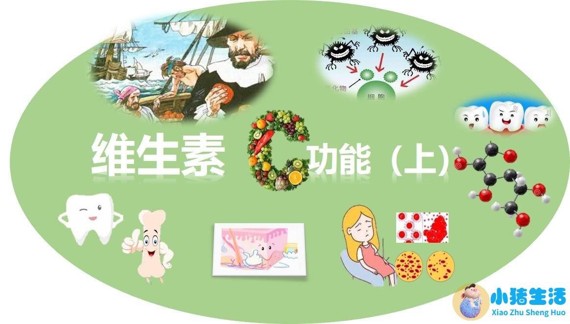 食品健康资讯