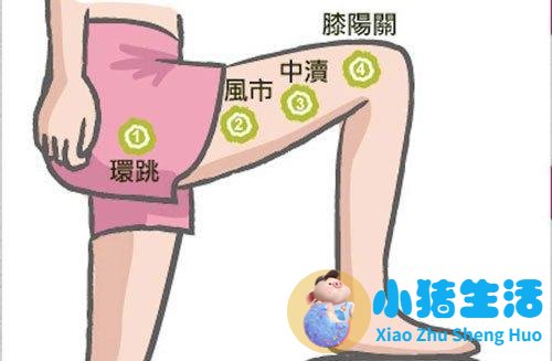 康熙来了 局部减肥