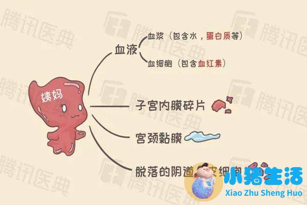 月经推迟小腹疼痛是什么原因,月经量突然