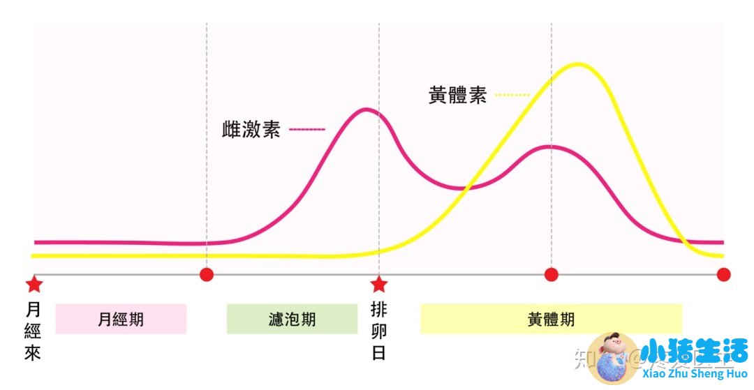 怀孕初期小腹疼痛是什么原因造成的