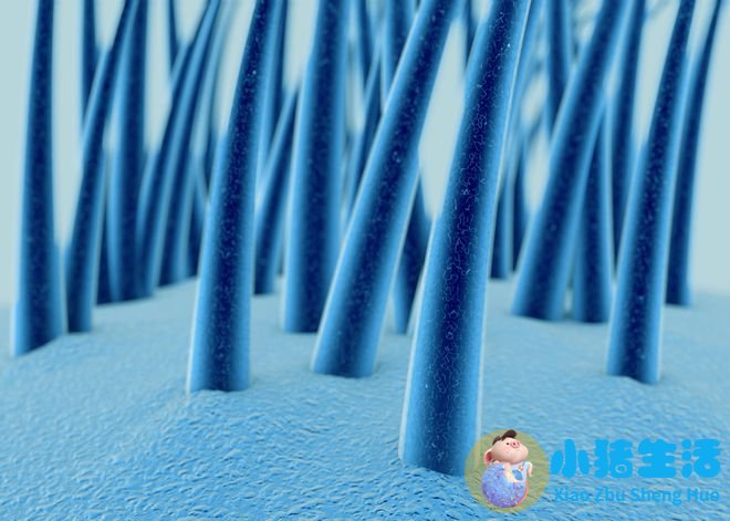 吃了一根头发会怎么样