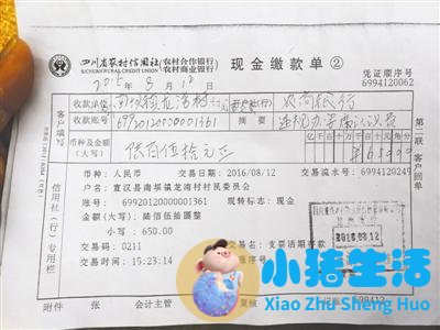 四川一村民为母办寿宴被罚650元续：罚款