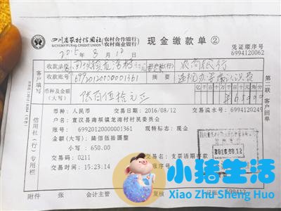 四川一村民为母办寿宴被罚650元续：罚款