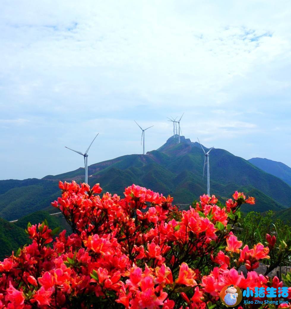 赣州旅游攻略