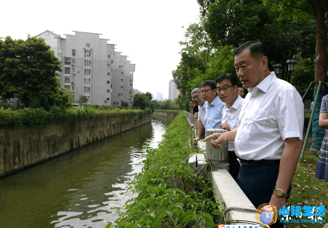 村干部大办寿宴被处分