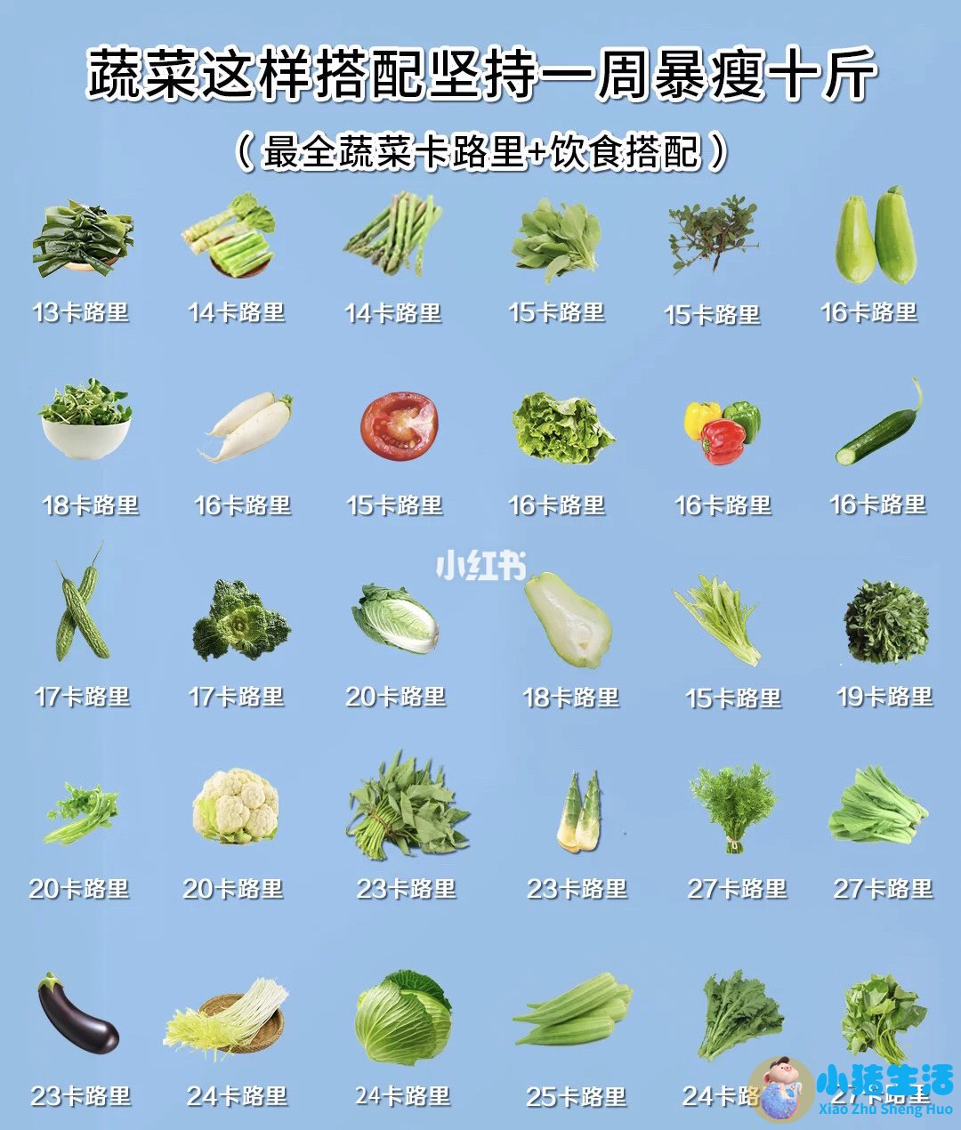 怎么科学减肥最有效