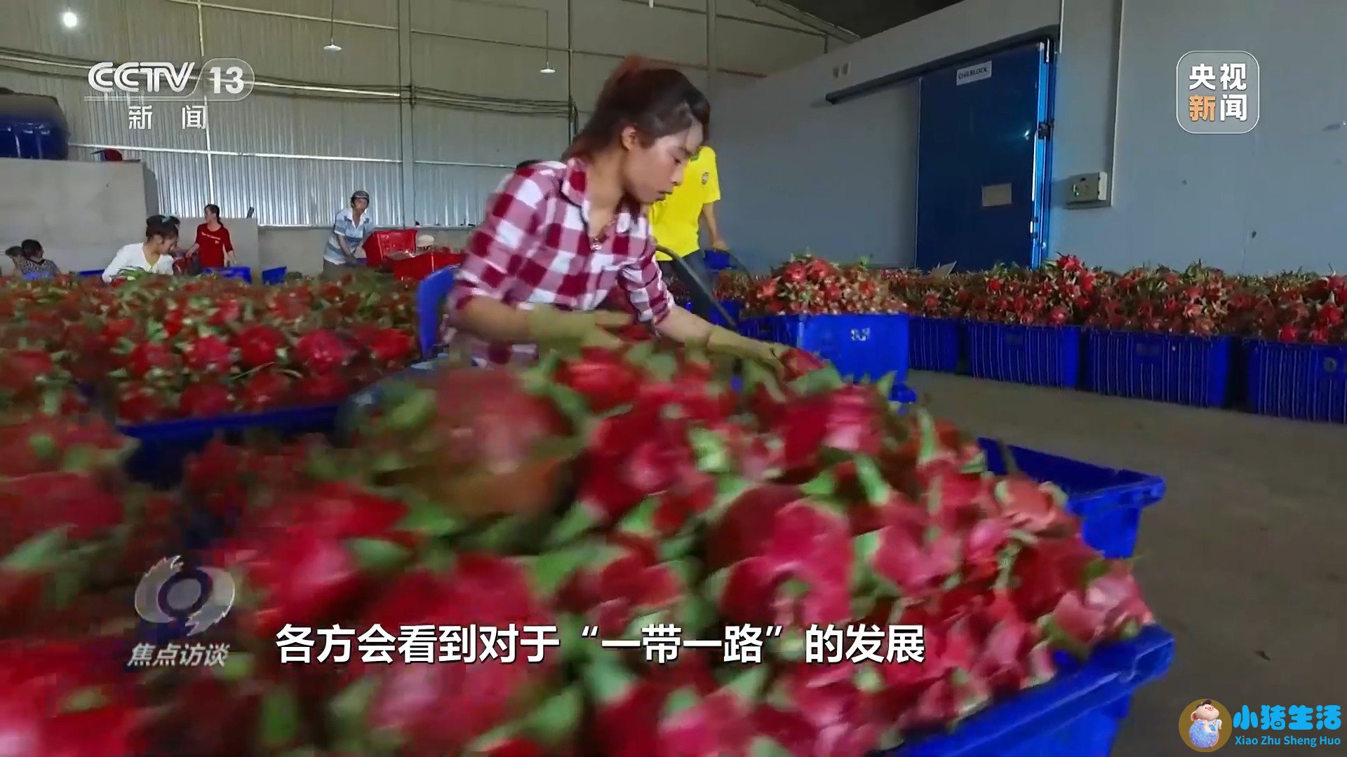 携手奔向下一个“金色十年” 为高质量共建“一带一路”提供中国方案