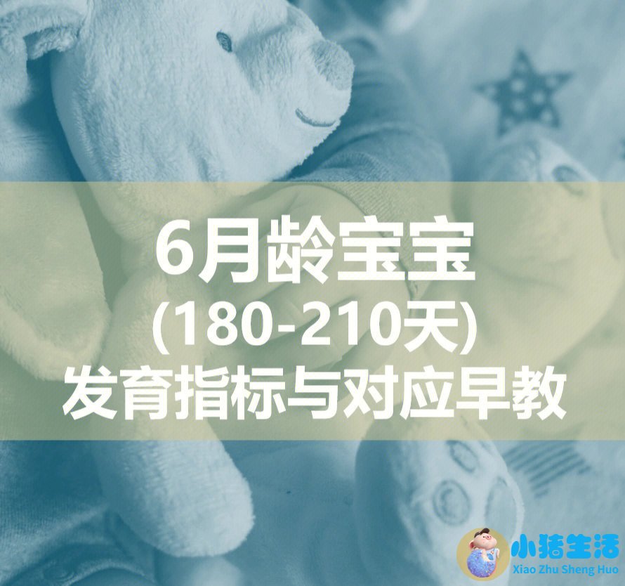 如何进行早期教育