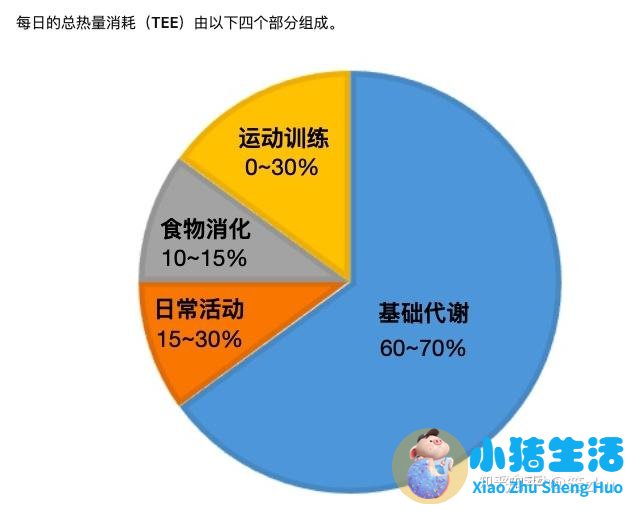 科学减肥一个月瘦15斤