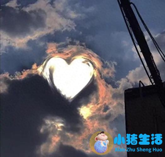 婚姻与鞋子的经典语录