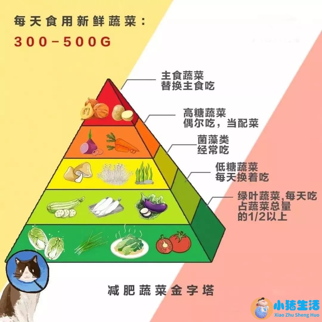 怎么科学减肥最有效