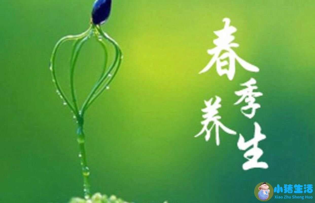 女性小满养生吃什么