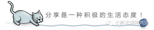 运动减肥计划