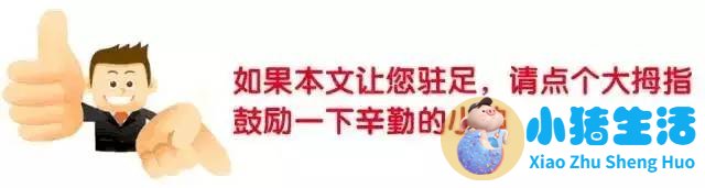 运动减肥计划