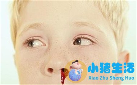 吃桂圆会流鼻血的原因成分