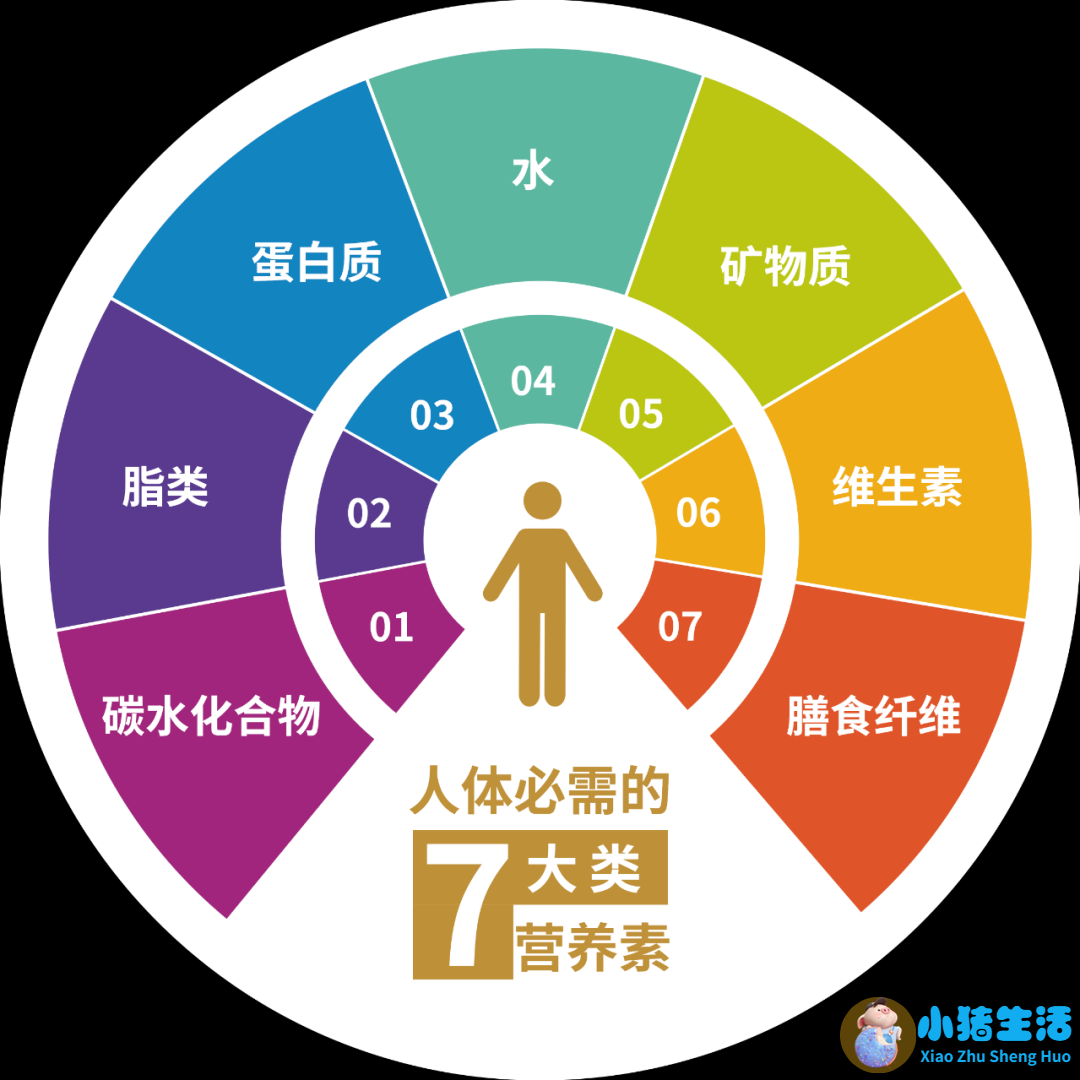 节食运动减肥瘦的太快