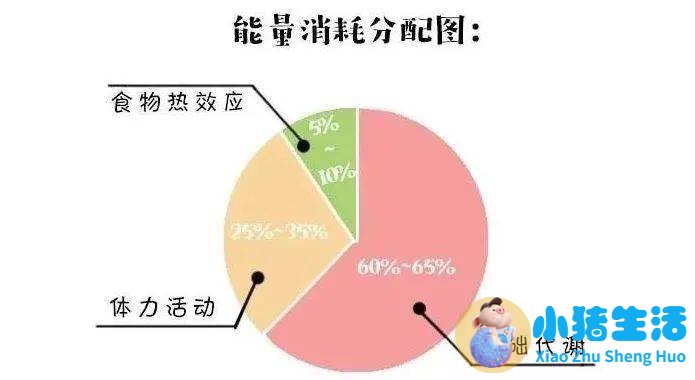 节食运动减肥瘦的太快