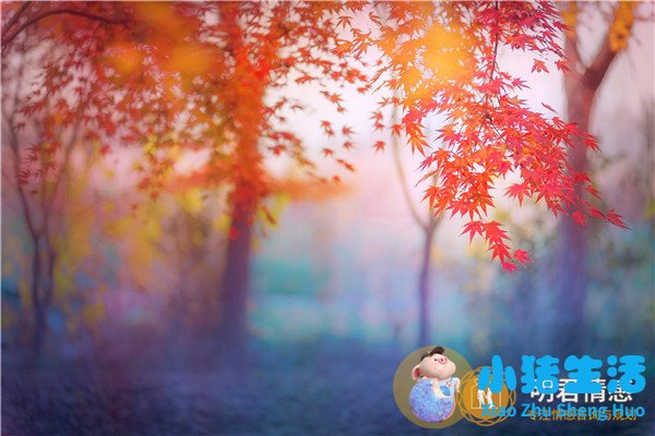 女孩家里穷自卑的表现,家里穷的女孩特点