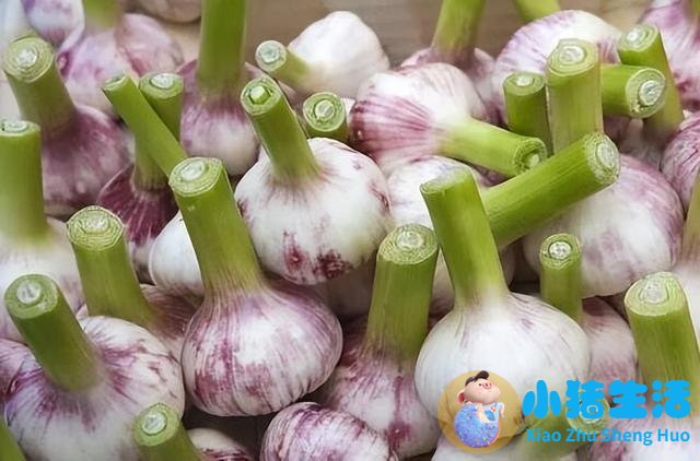 经常吃大蒜的人，或许会收获这8个好处，