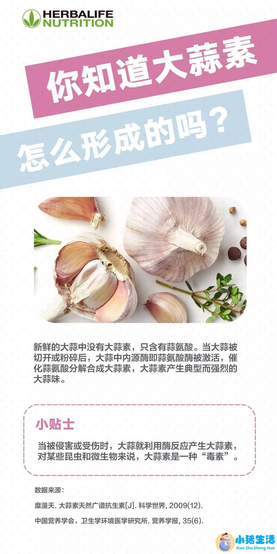 每天吃大蒜有什么好处