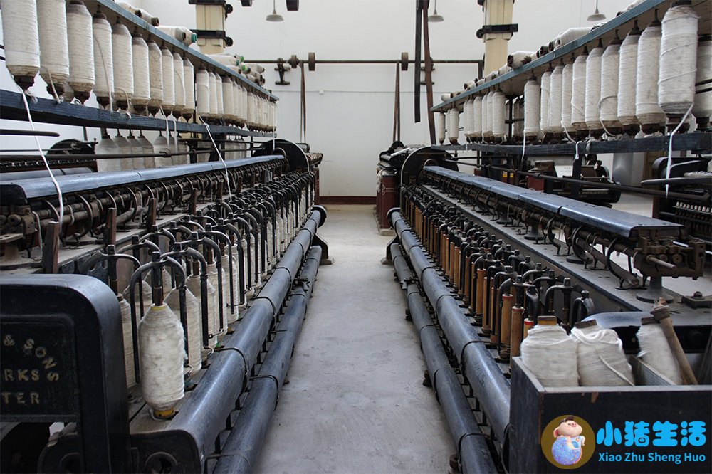 老年健康生活图片