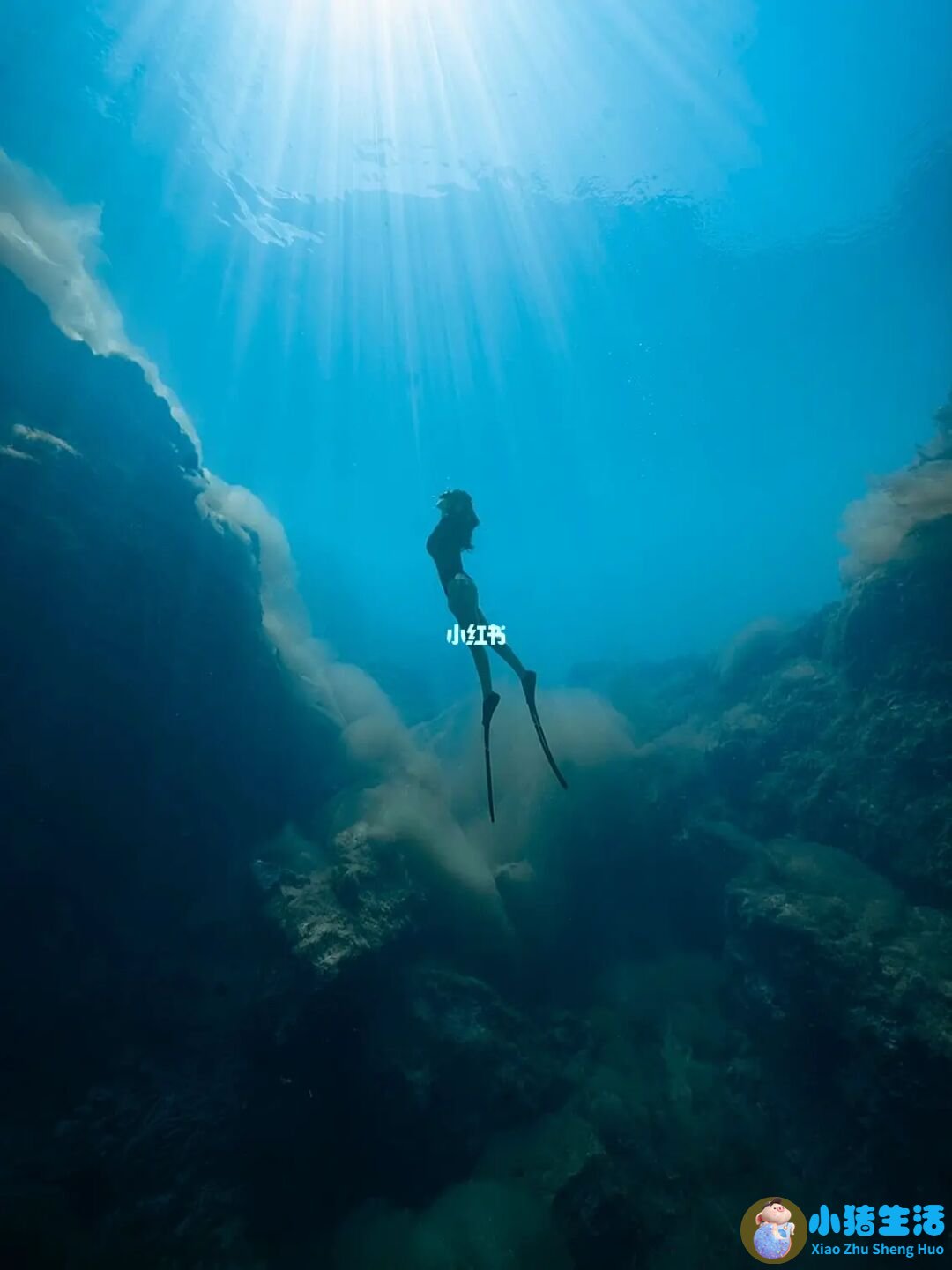 知名潜水员韩颋遗体被打捞上岸