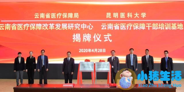 老年健康生活图片