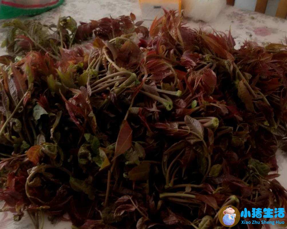 我有肾结石能吃鸡蛋吗