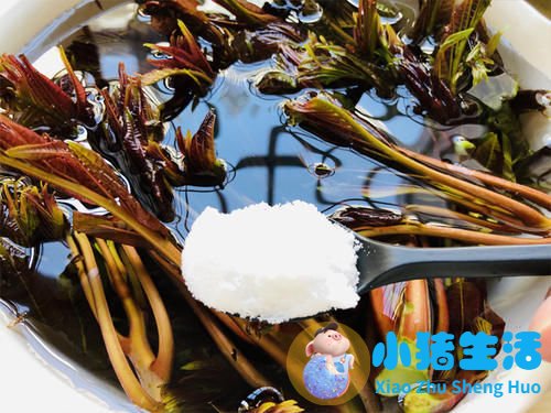 我有肾结石能吃鸡蛋吗