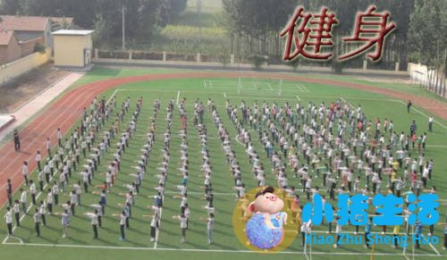 健身房员工劳动合同协议书
