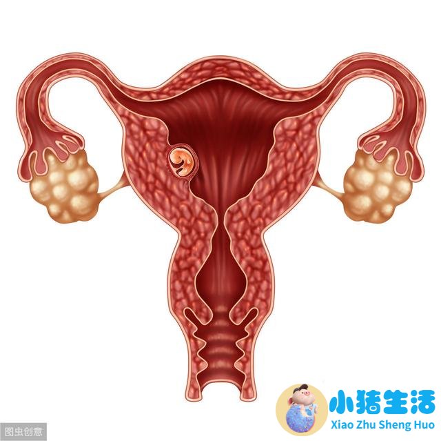 刚怀孕的人有什么症状