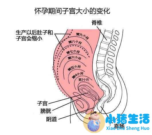 刚怀孕的人有什么症状