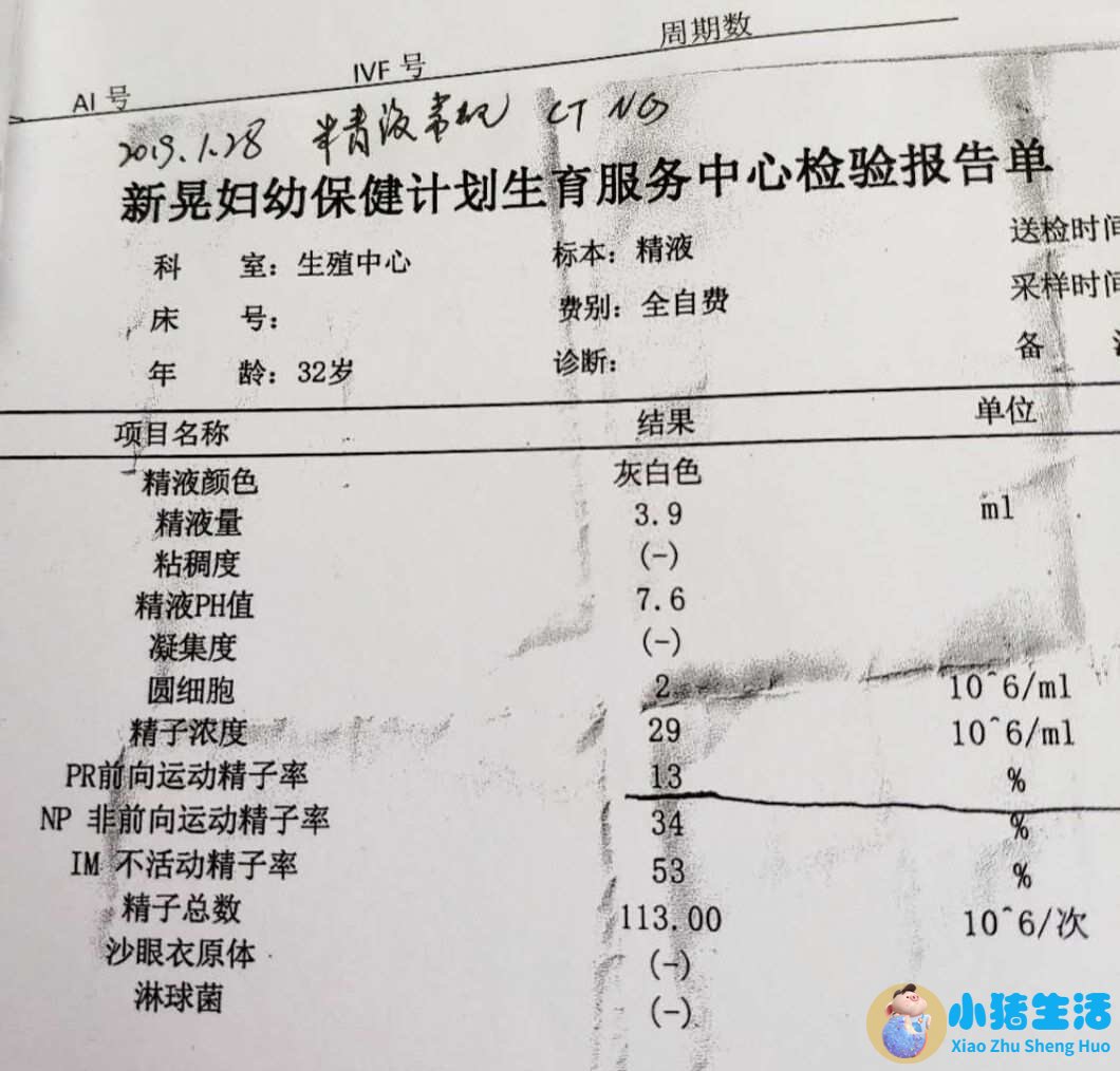 弱精症怀孕几率