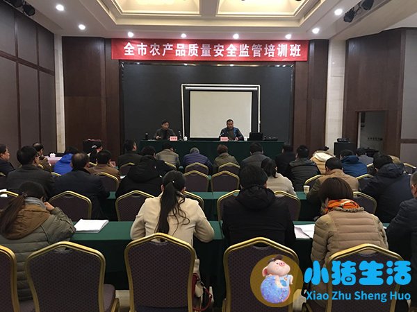 贝因美事件2023曝光