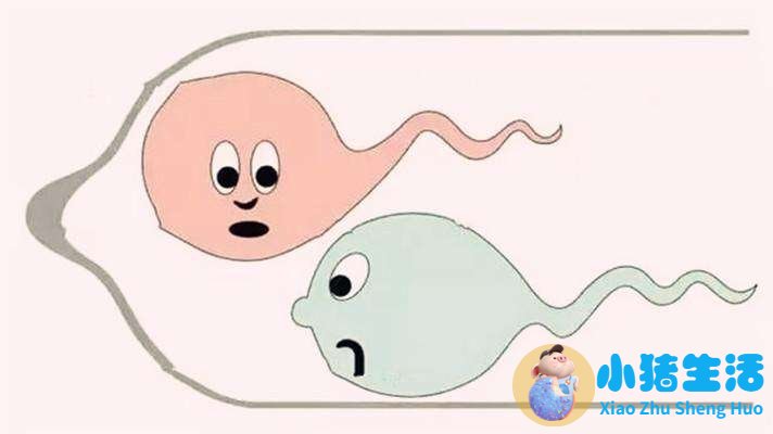 弱精症怀孕几率