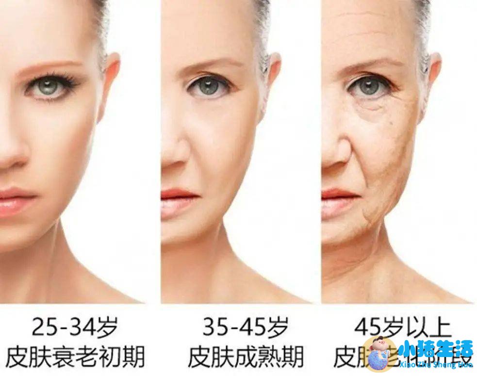 雅顿21天显效霜好用吗