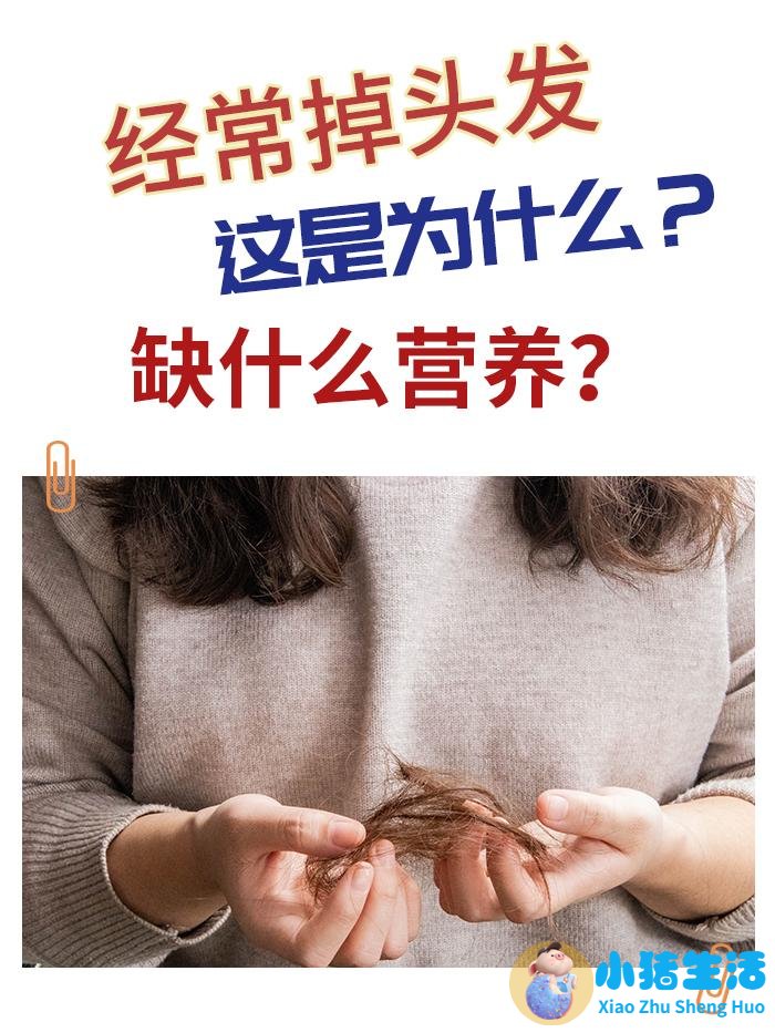 经常掉头发，这是为什么？缺什么营养？