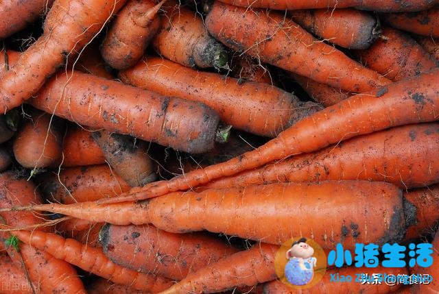 吃什么食物可以长头发