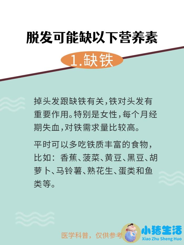 吃什么食物可以长头发