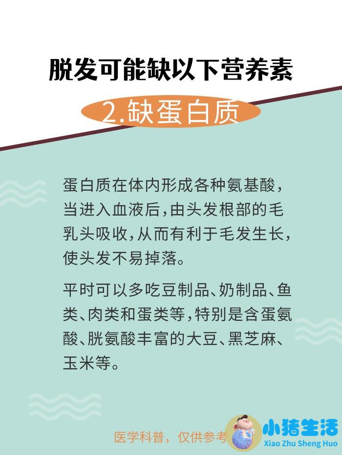 吃什么食物可以长头发