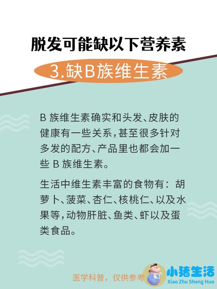 吃什么食物可以长头发