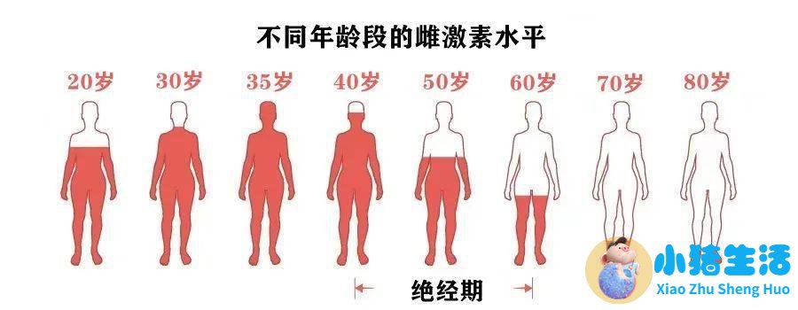 吃什么食物可以长头发