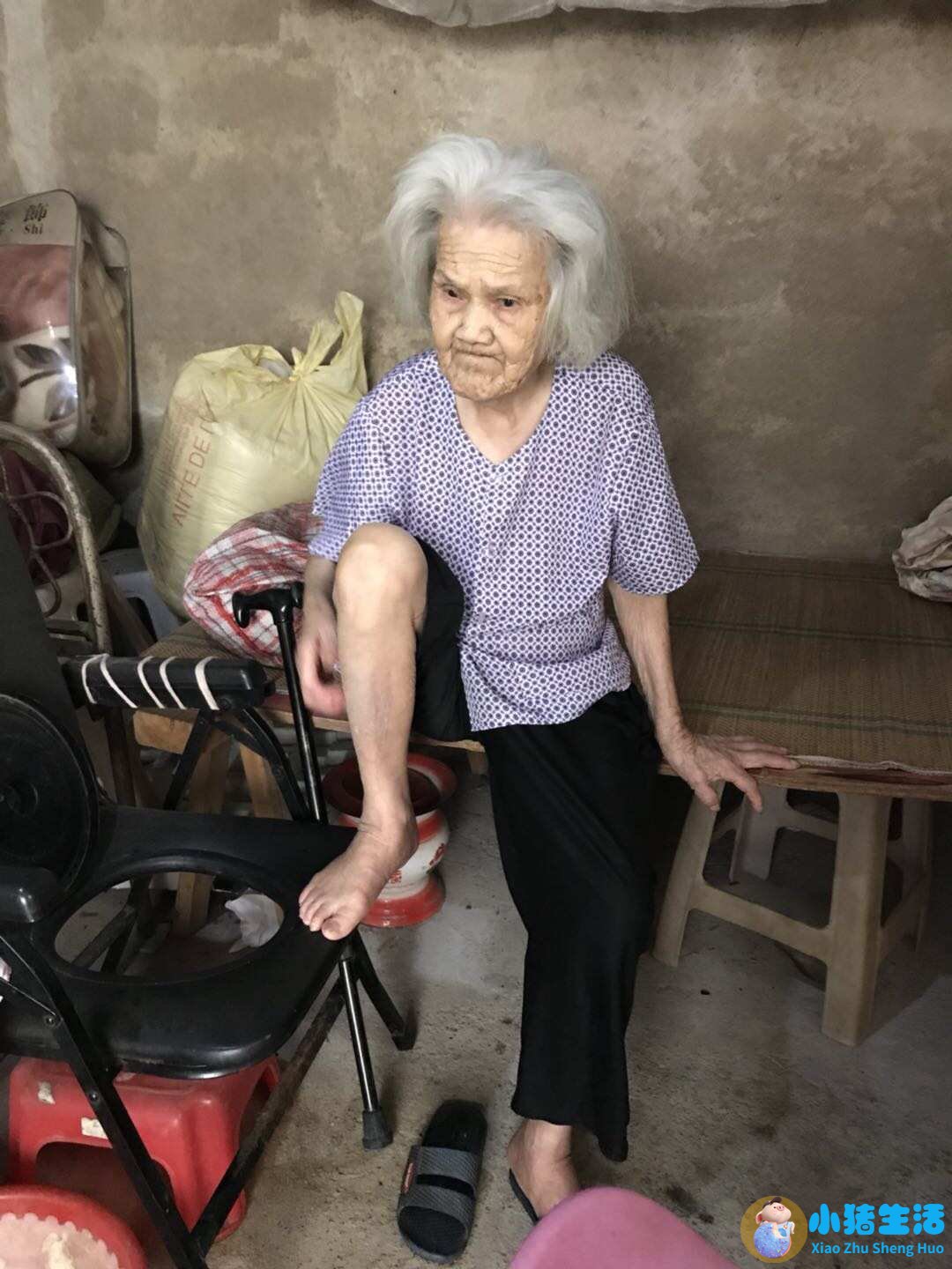 吃什么食物可以长头发