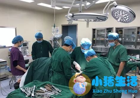 美国保健品女性养生