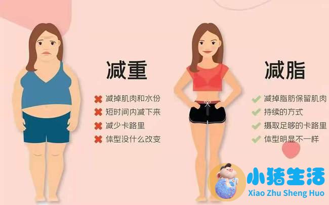 运动饮食减肥计划