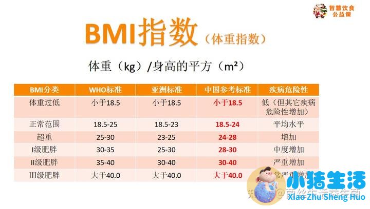 运动饮食减肥计划